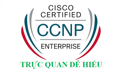 MÔ PHỎNG TRỰC QUAN CCNP